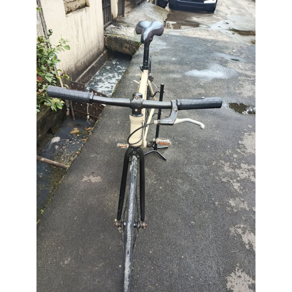 fixie United Evolution