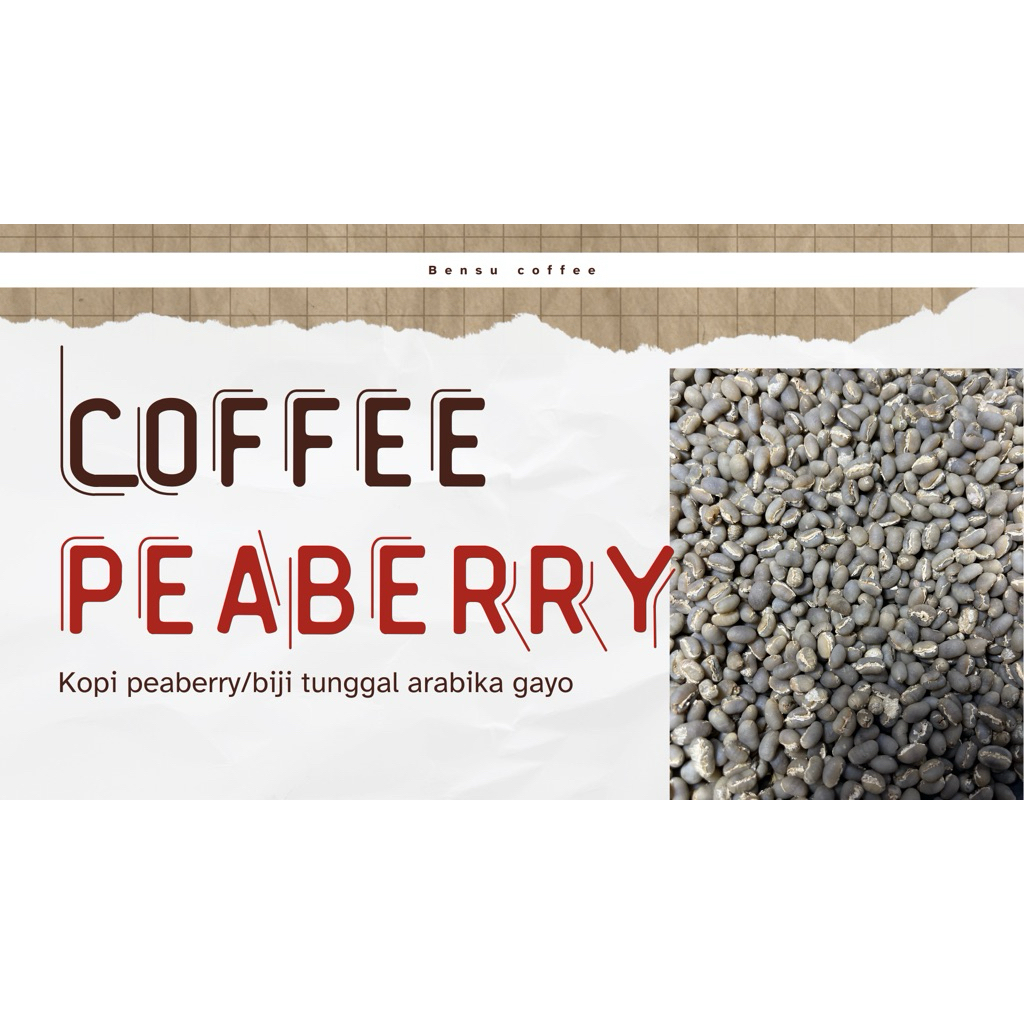 [GREEN BEAN] kopi arabika gayo aceh peaberry/biji tunggal berat: 1000g/1kg