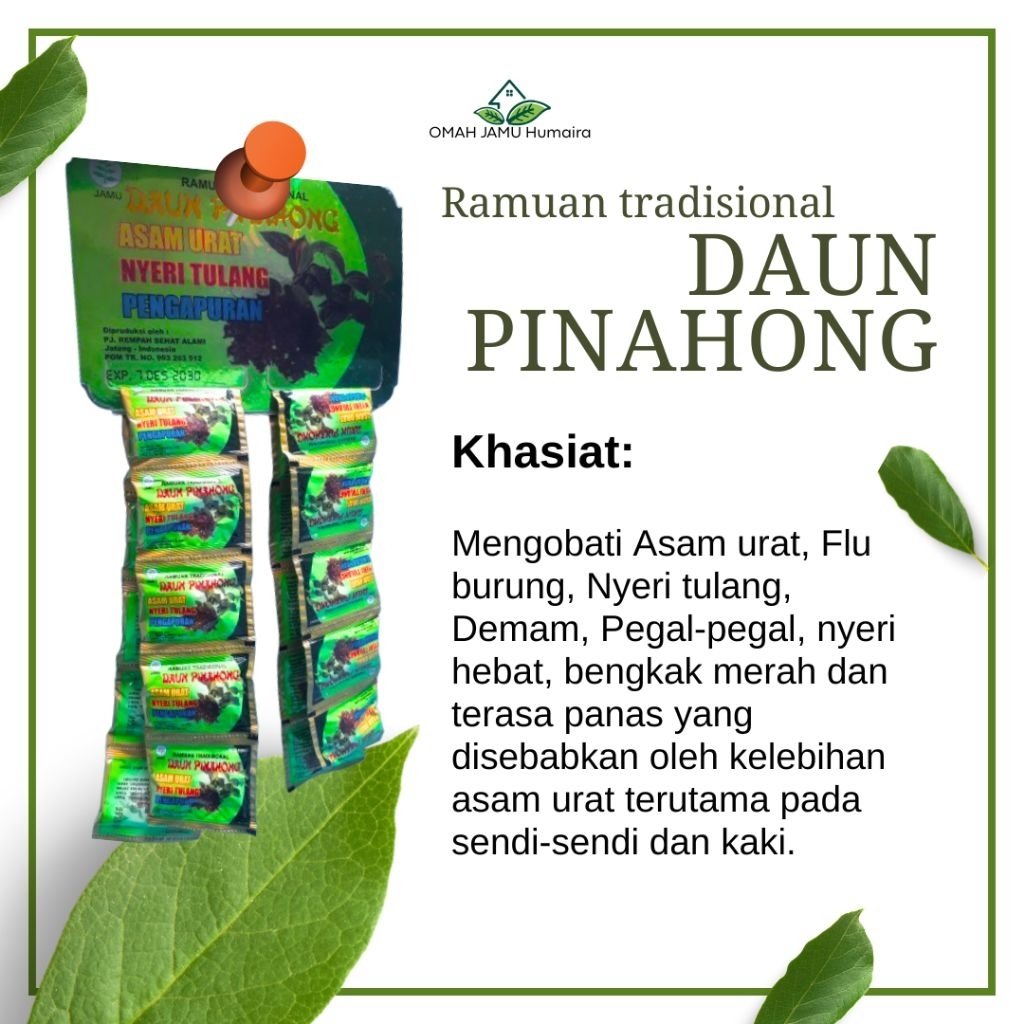 DAUN PINAHONG