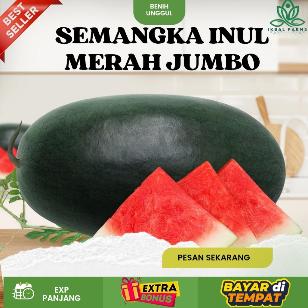 (10 biji) BIJI BENIH SEMANGKA INUL MERAH JUMBO UNGGUL | EXTRA BONUS