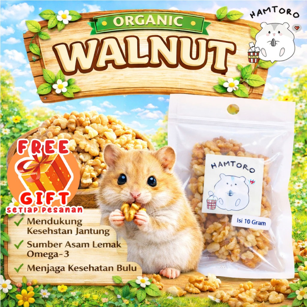 Hamtoro Organic Walnut Snack Hamster 10 Gram - Camilan Tinggi Protein & Omega 3 untuk Kesehatan
