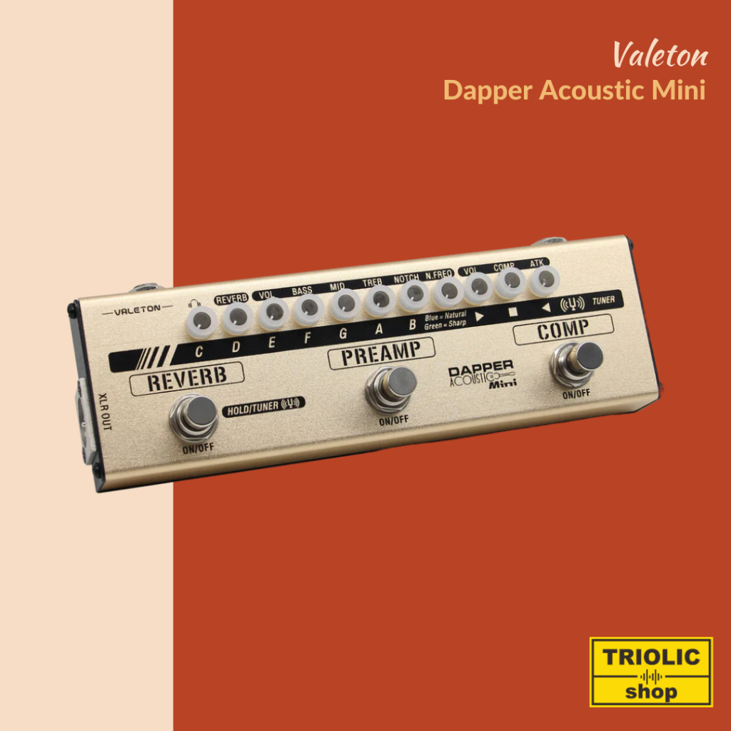 Valeton Dapper Acoustic Mini