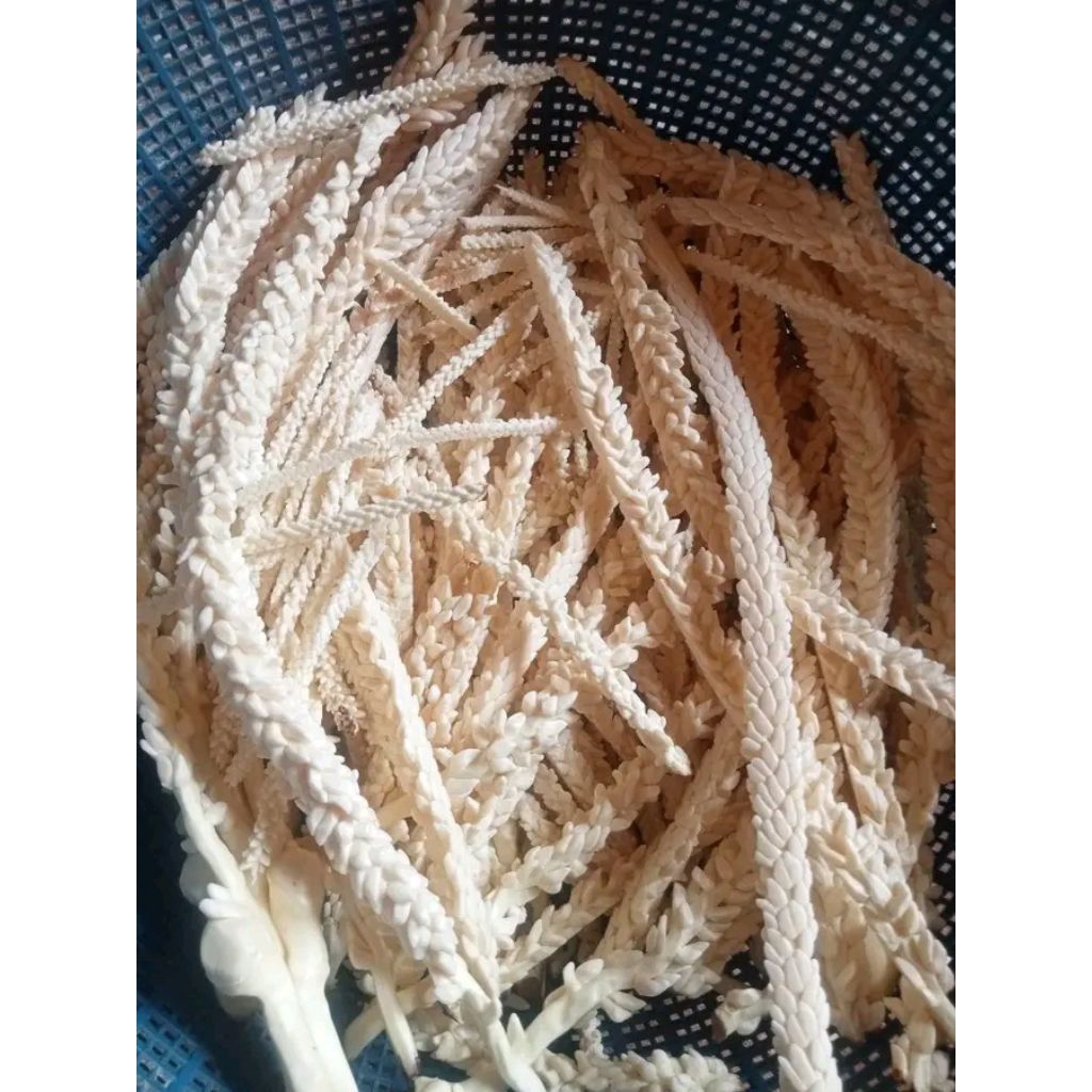 manggar bunga kelapa bahan masakan gudeg