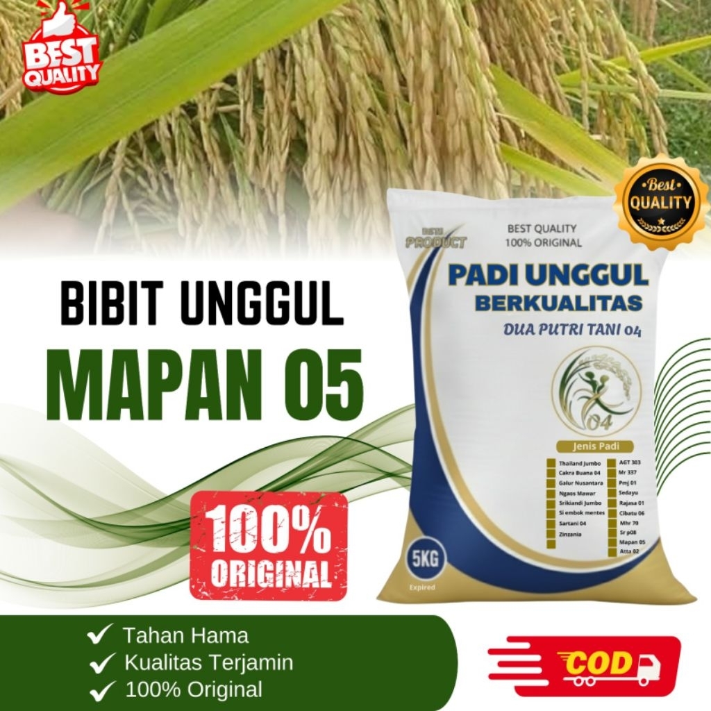 BIBIT PADI MAPAN 05 ISTIMEWA kemasan 5kg