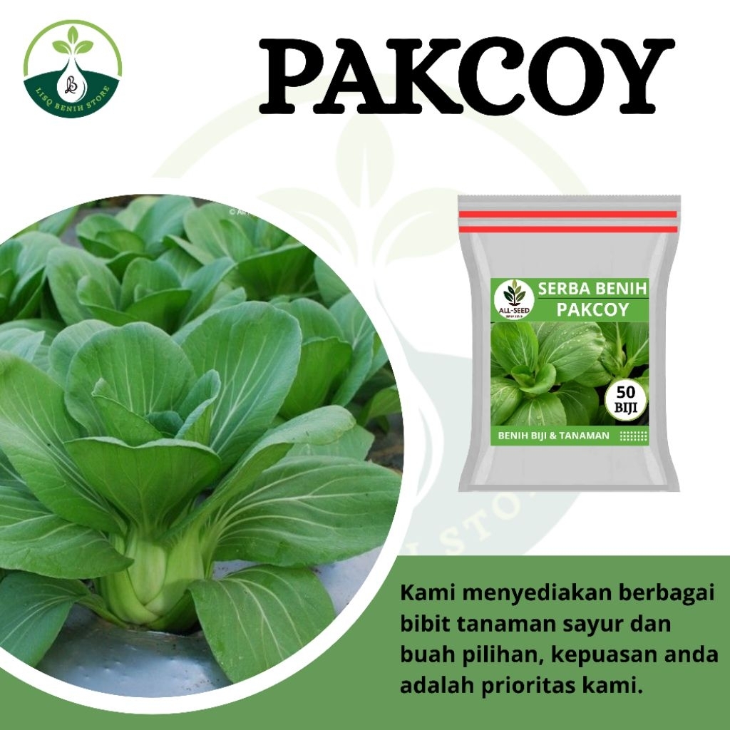 ( 50 biji ) Benih pakcoy / sayur pakcoy / pakcoy hijau