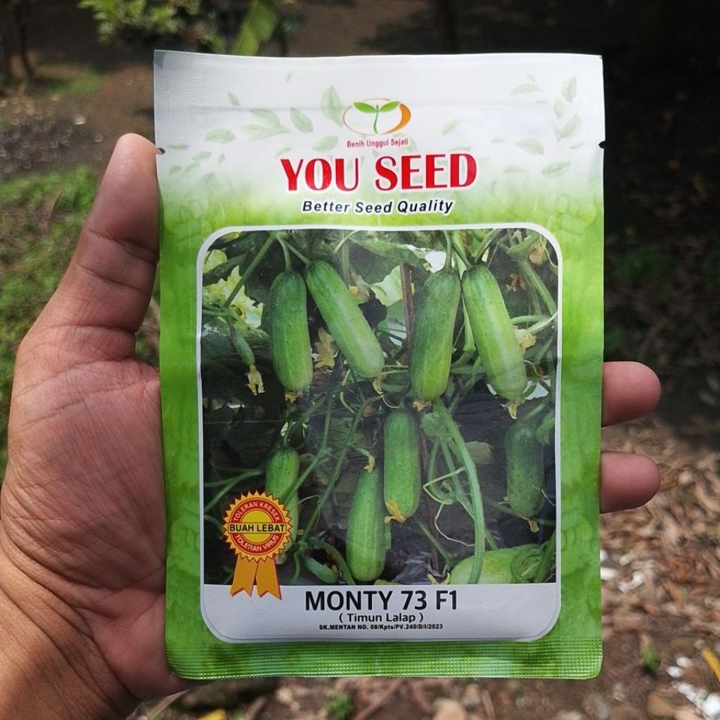 Benih Timun Lalap MONTY 73 isi 20gr timun baby Mentimun Biji Bibit You seed