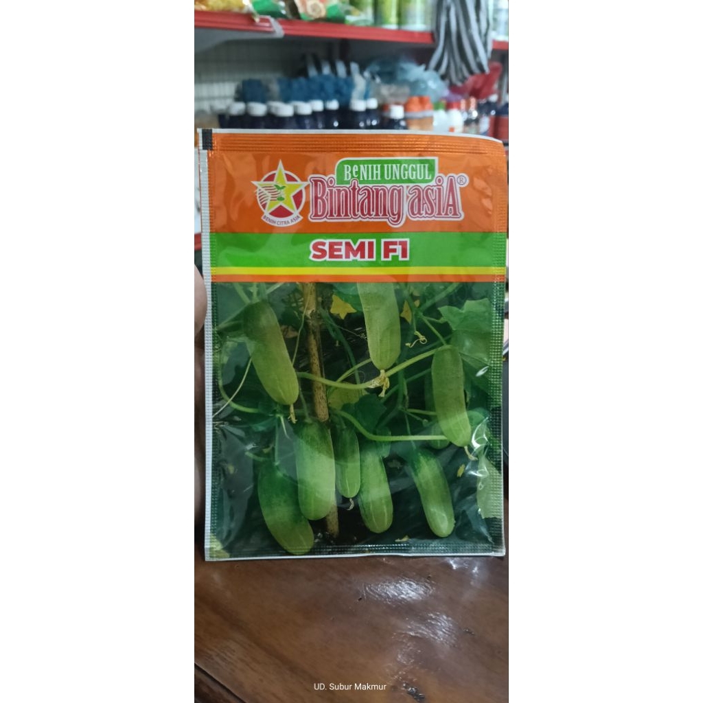 BENIH TIMUN SEMI  F1 20GR