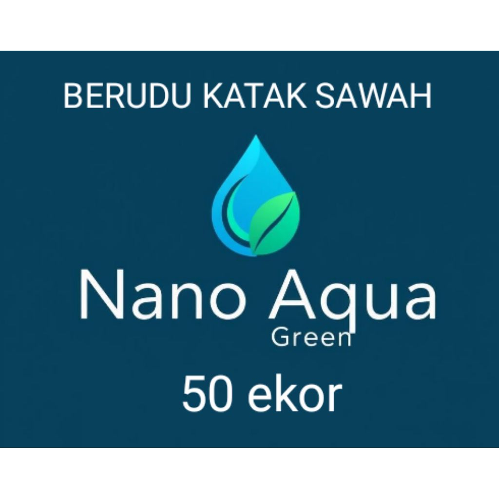 Kecebong katak sawah hidup pakan ikan predator