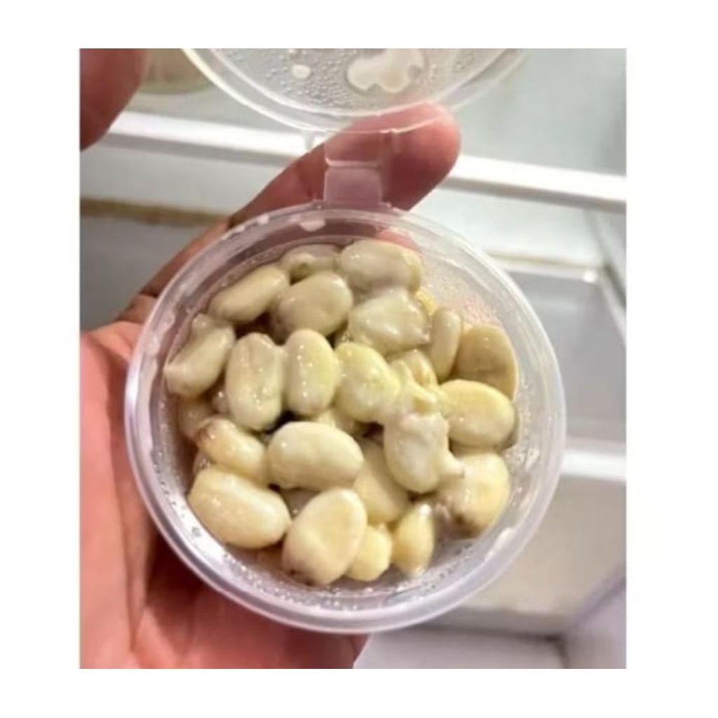 Umpan Bawal biji jarak premium original