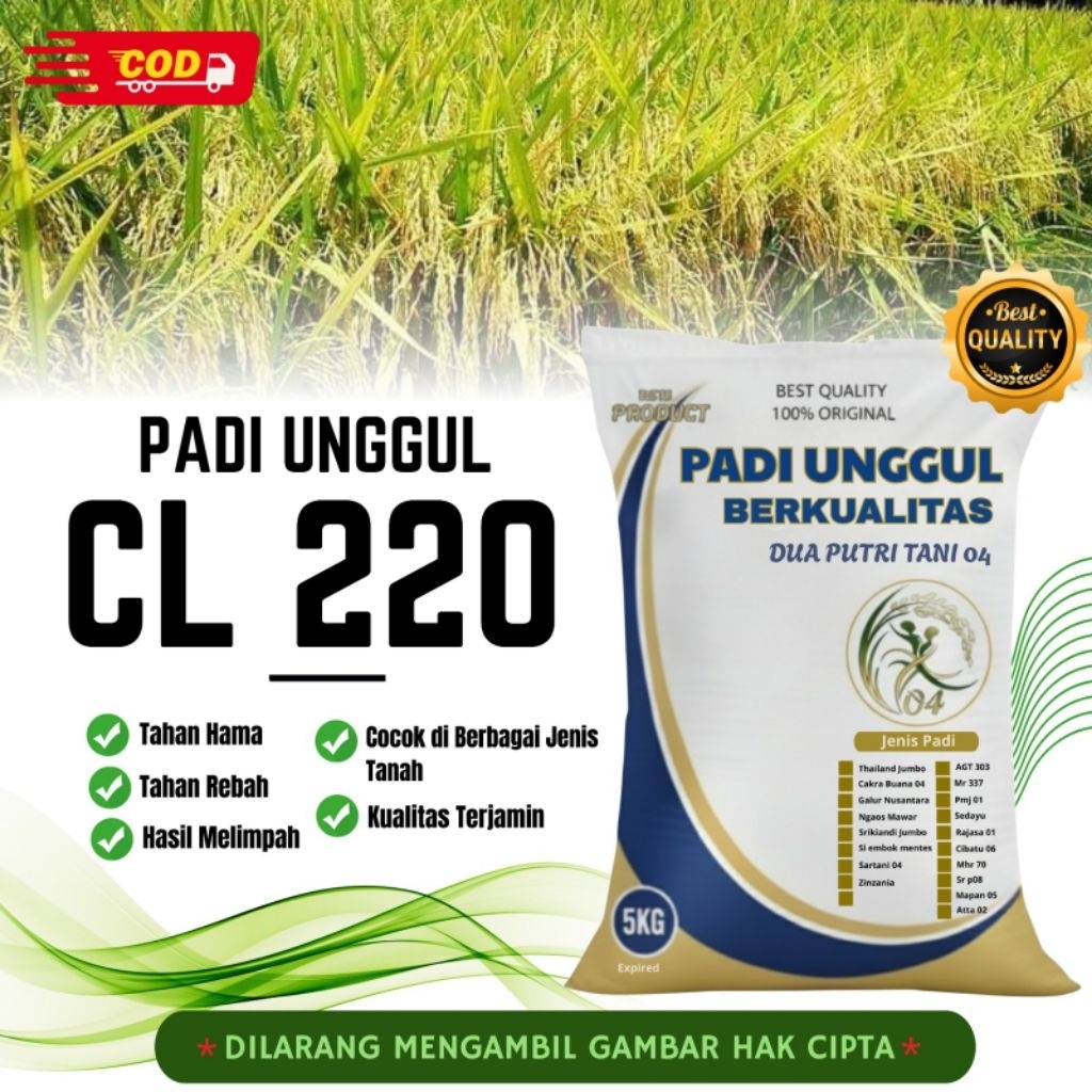 bibit PADI CL220 BIBIT UNGGUL kemasan 5kg