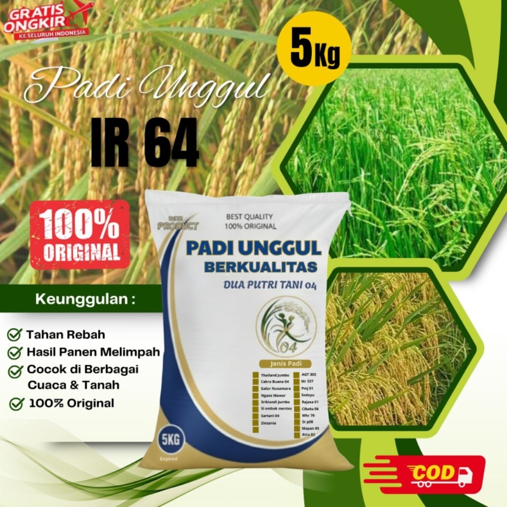BIBIT PADI UNGGUL IR 64 KEMASAN 5KG