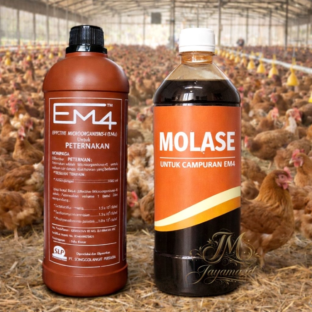 Paket EM4 Peternakan + Molase tetes tebu| Nutrisi & Probiotik Ternak Ayam