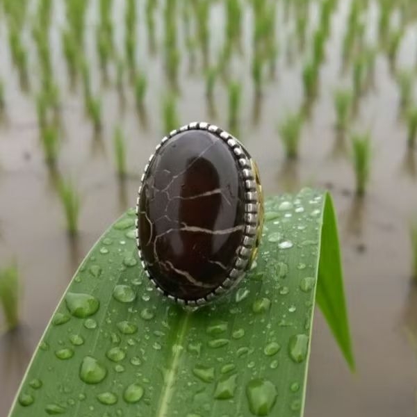 Batu Sisik Naga (Septarian Nodule) Enrekang