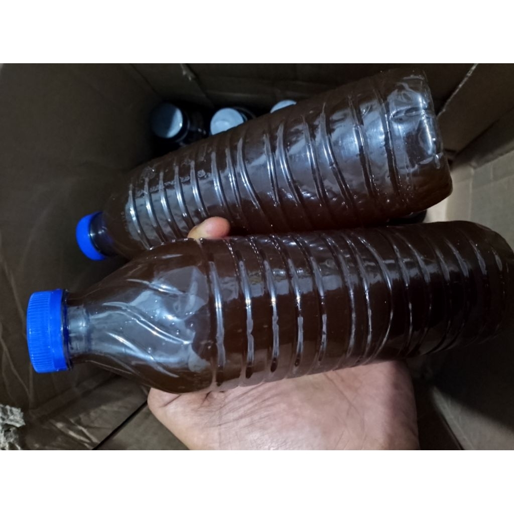 EKTRAK KETAPANG+SECANG BOTOL 600ML (paket hemat 2 botol) untuk chana, cupang, guppy cidhlid