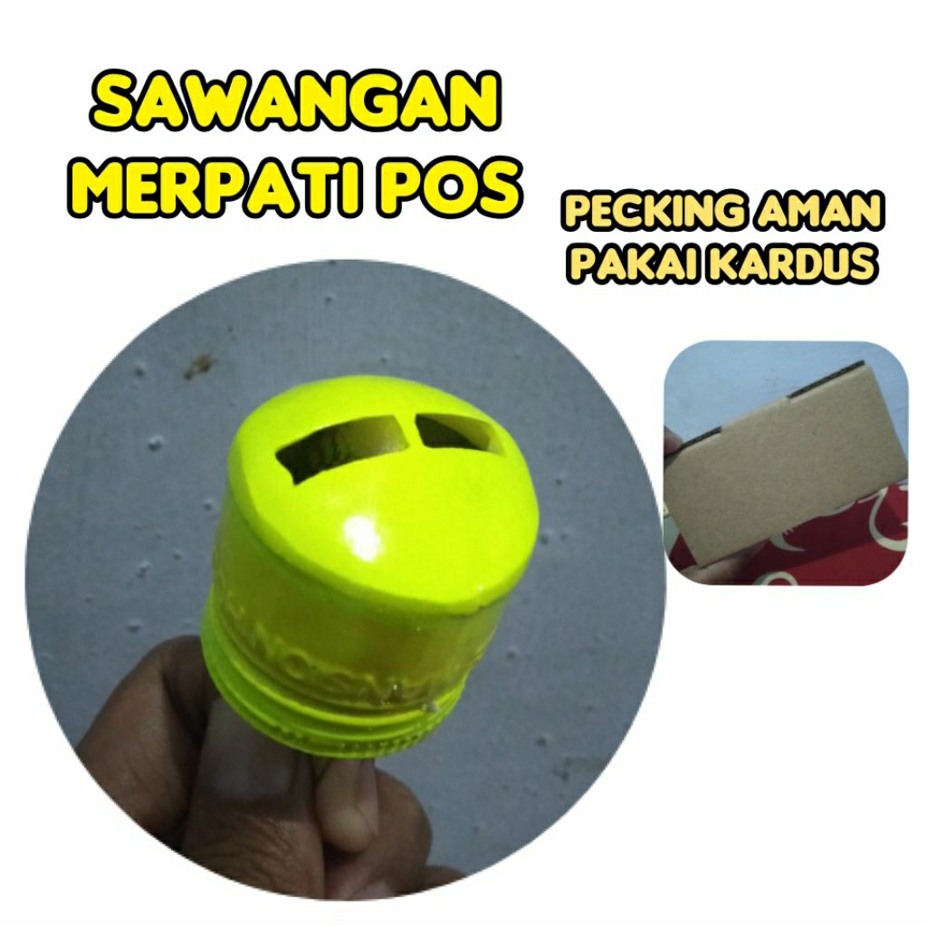 sawangan merpati pos lubang dua suara kencang (bisa cod)