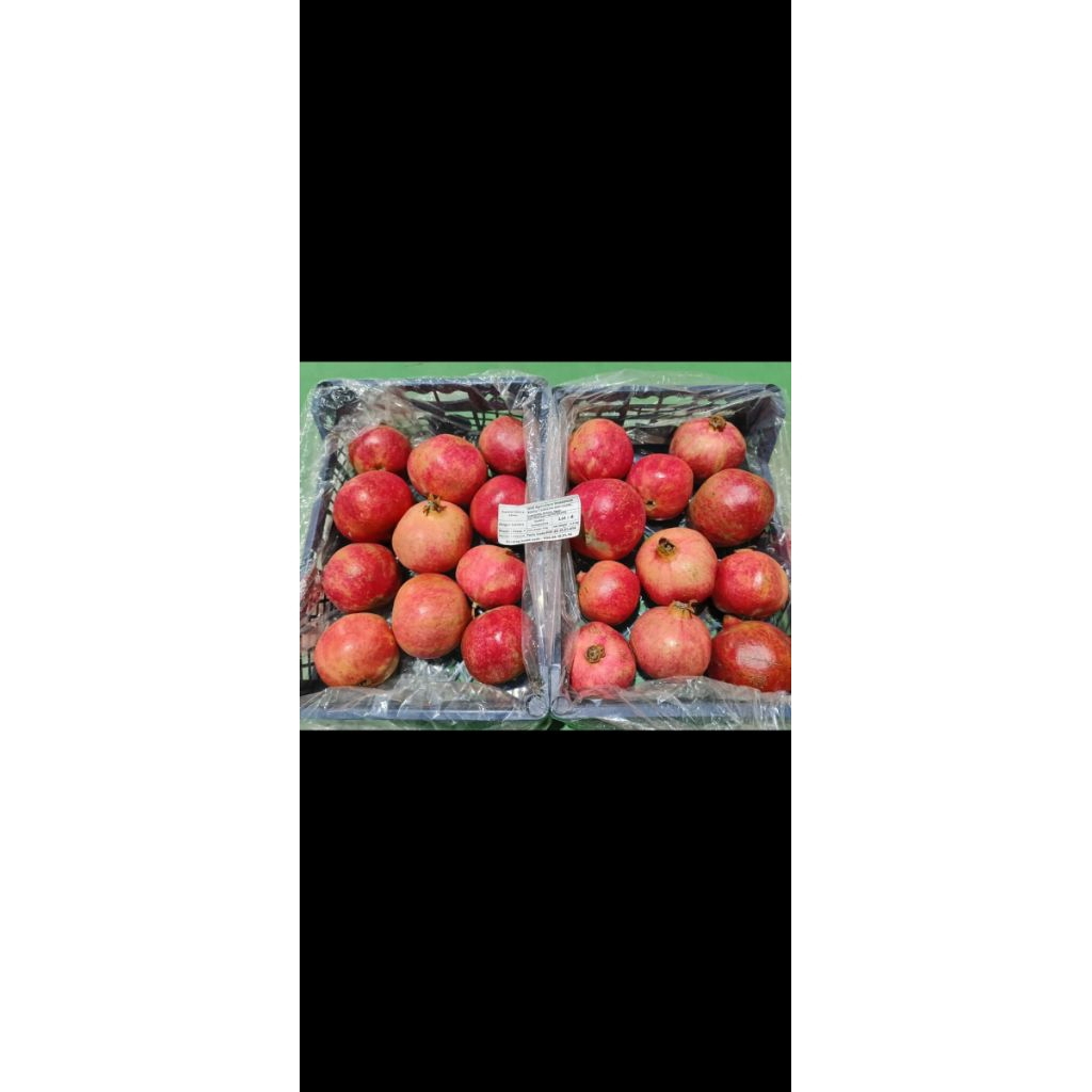 Delima merah India 1kg isi 2-3 buah