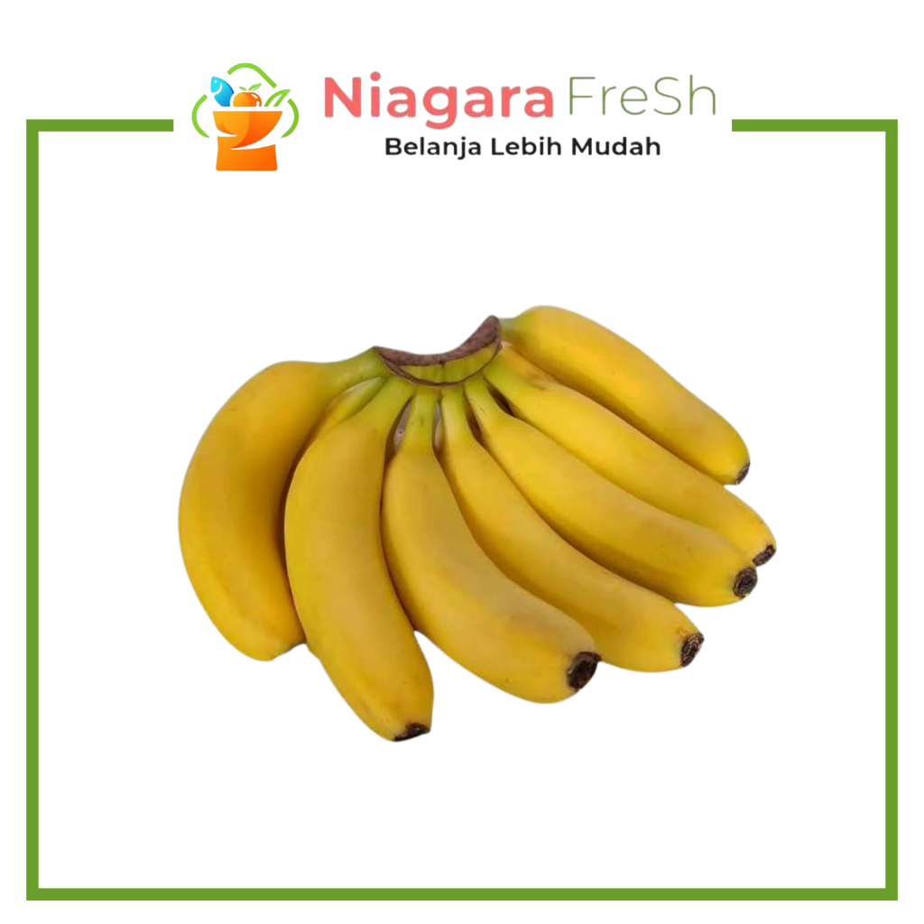 Pisang Cavendish 1 Sisir Fresh – Pisang Cavendish Manis Siap Makan