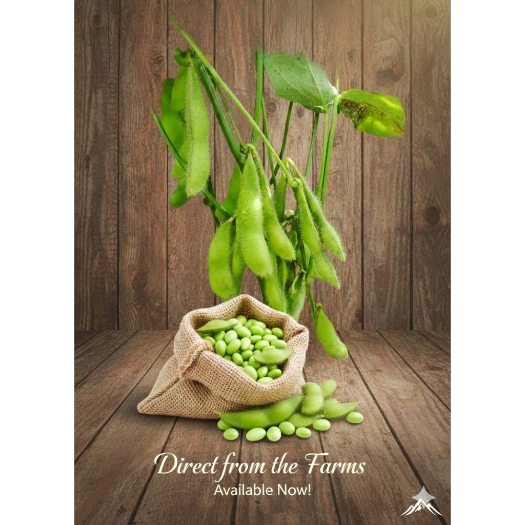 Edamame Super Grade A