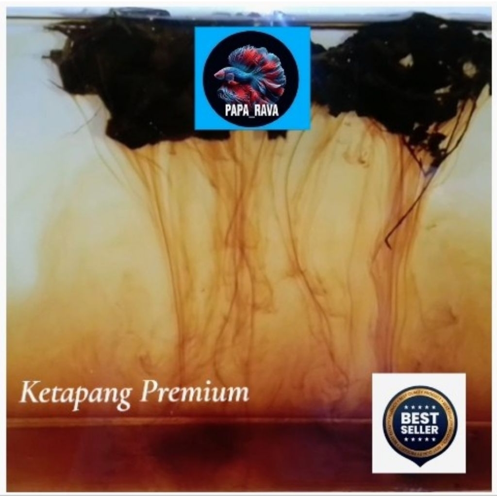 Daun Ketapang laut 100gram/ Ketapang Lumer/ Ketapang Laut Kualitas Premium
