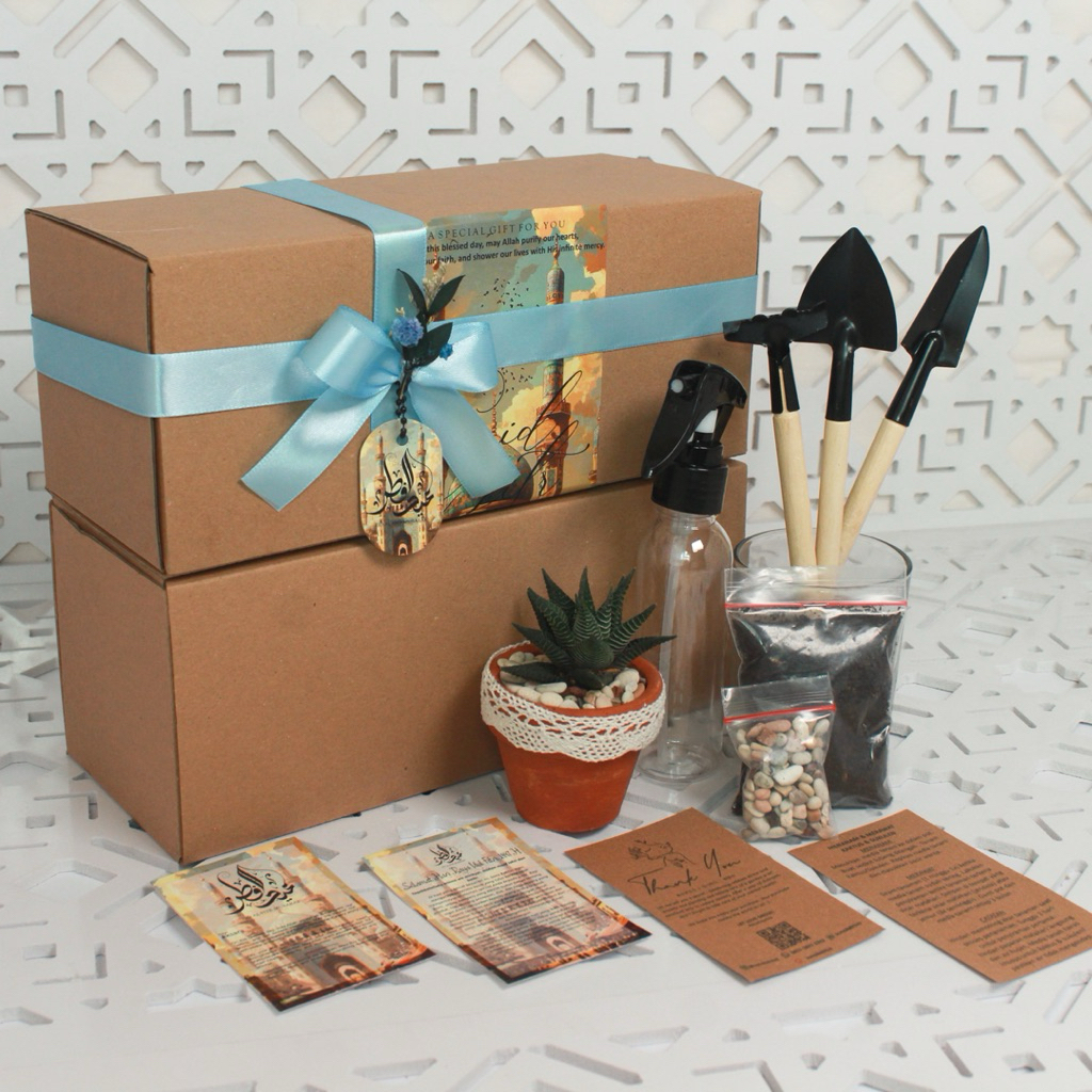 HAMPERS KAKTUS SUKULEN | Premium Hampers Kaktus & Sukulen Hias Mini (Paket 1) box hampers gift box b