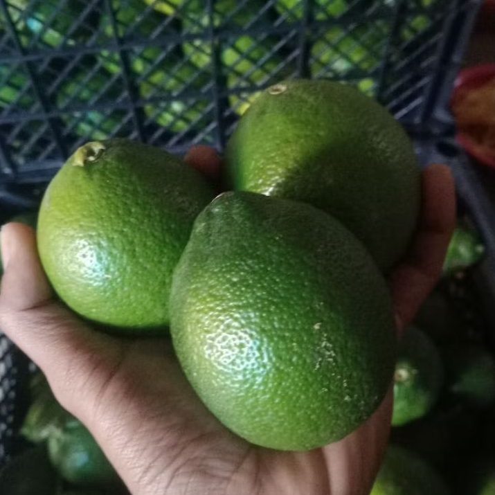 Lemon California 1kg