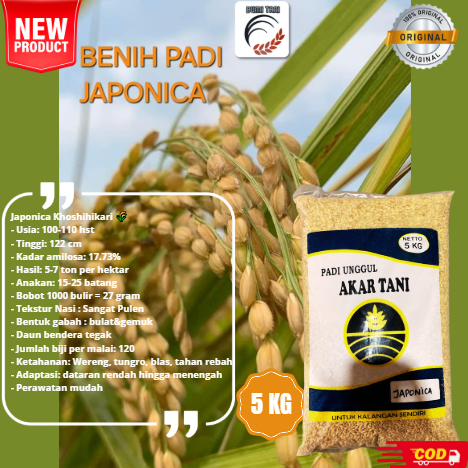 AKAR TANI BENIH PADI JAPONICA KOSHIHIKARI KEMASAN 5KG ORIGINAL BIBIT PADI JAPONICA UNGGUL