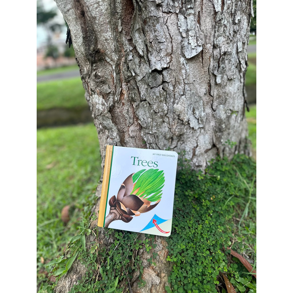Buku anak impor