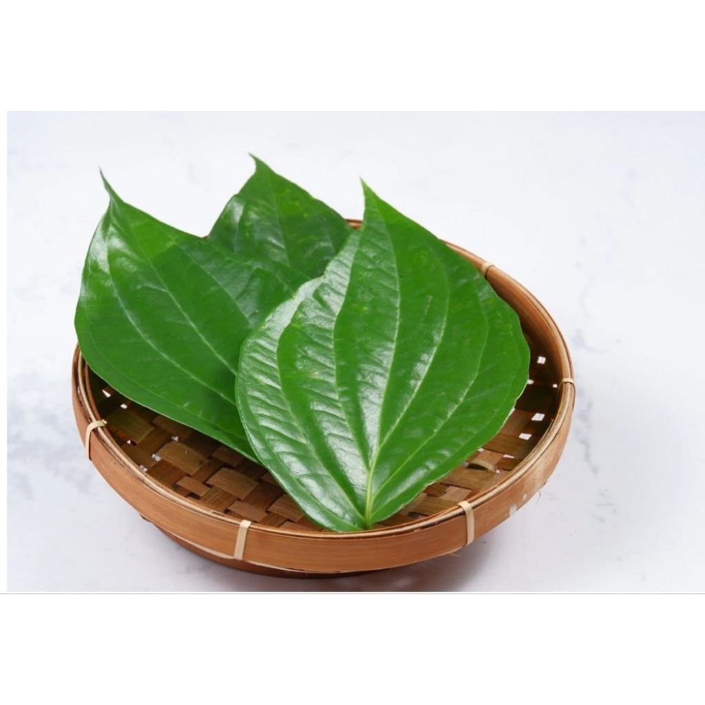 Daun Sirih Segar 1kg