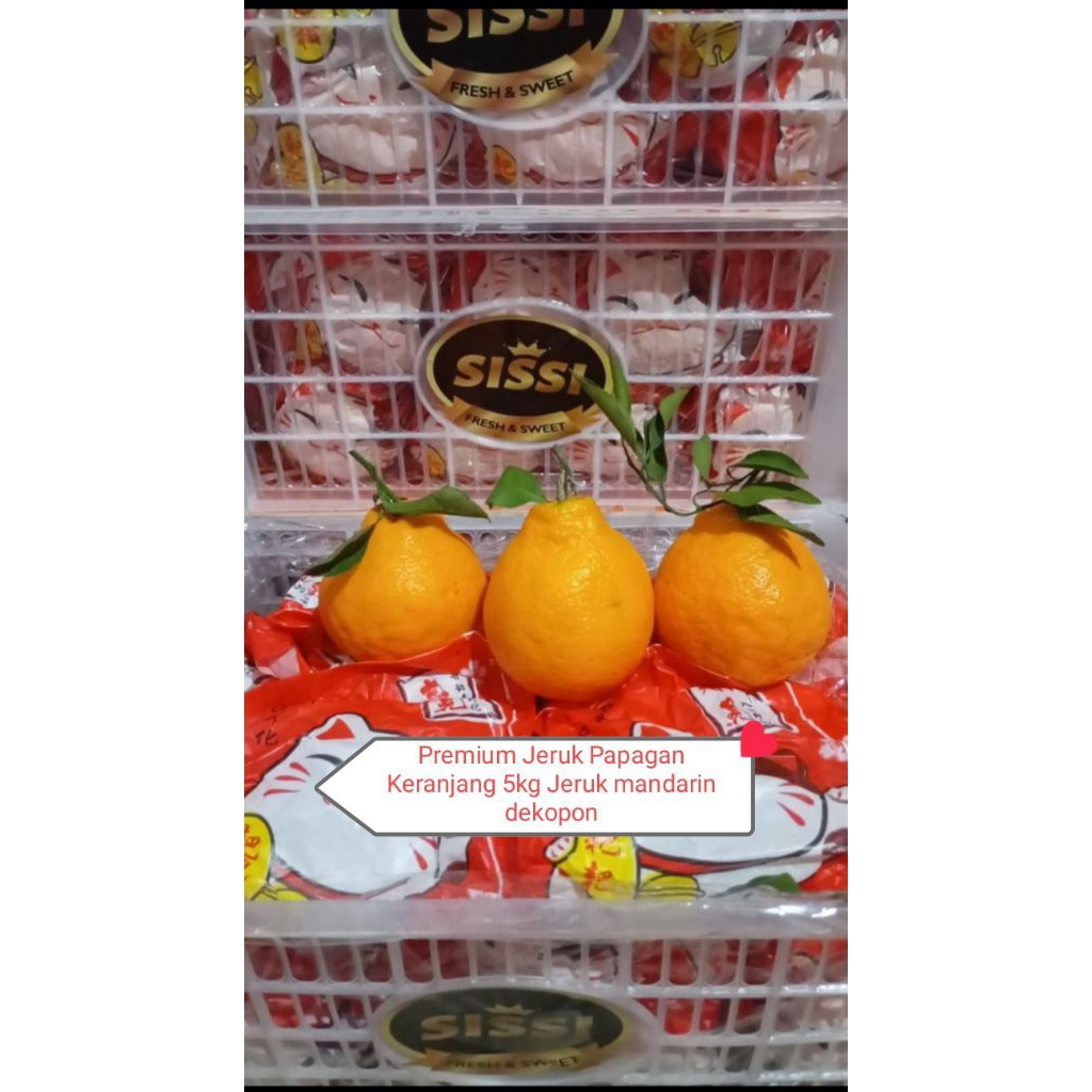 Jeruk Papagan Dekopon Keranjang 5kg Jeruk Mandarin Grosir Manis Tanpa Biji
