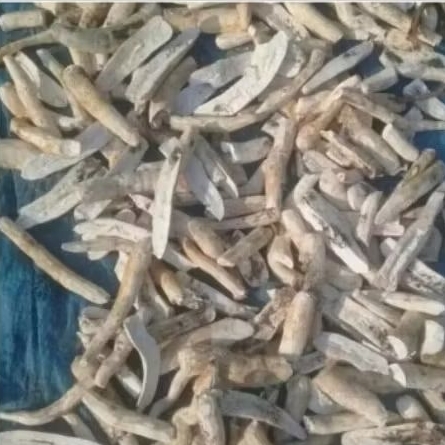 gaplek singkong, covok untuk kesehatan, diet, makanan jadul enak dan gurih