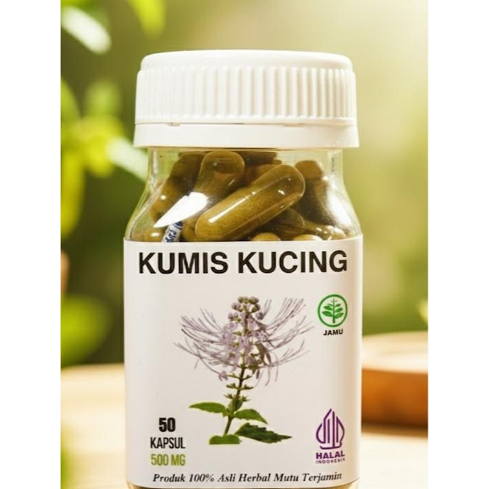 Kapsul Kumis Kucing Original Herbal Isi 50 ( ISK, Ginjal, Asam Urat )