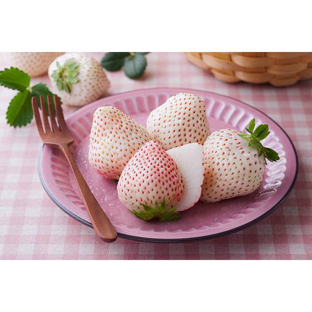 HASIL UNGGUL BENIH STRAWBERRY PUTIH