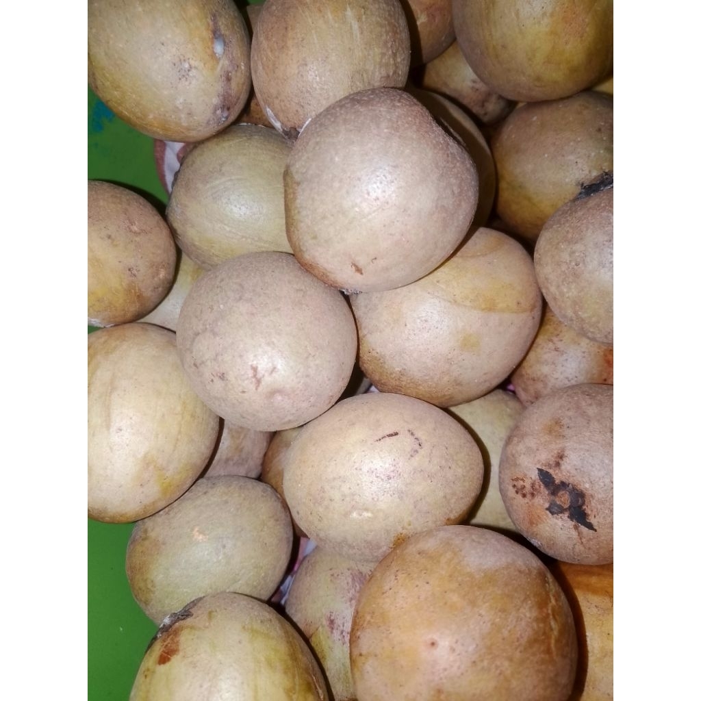 buah sawo 1kg