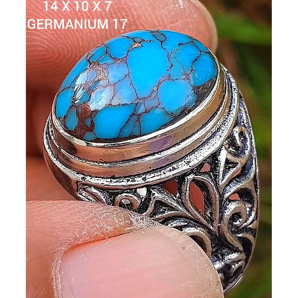 pirus mesir lawasan r5