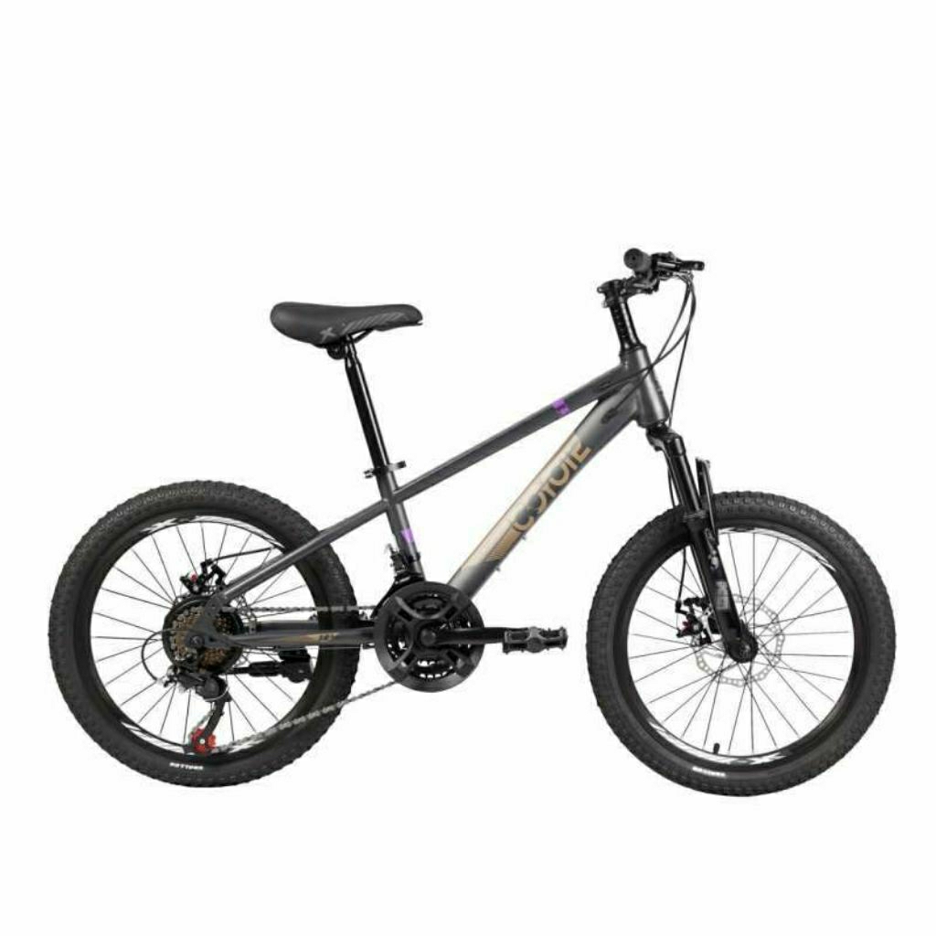 SEPEDA GUNUNG ANAK 20 INCH - 7 SPEED