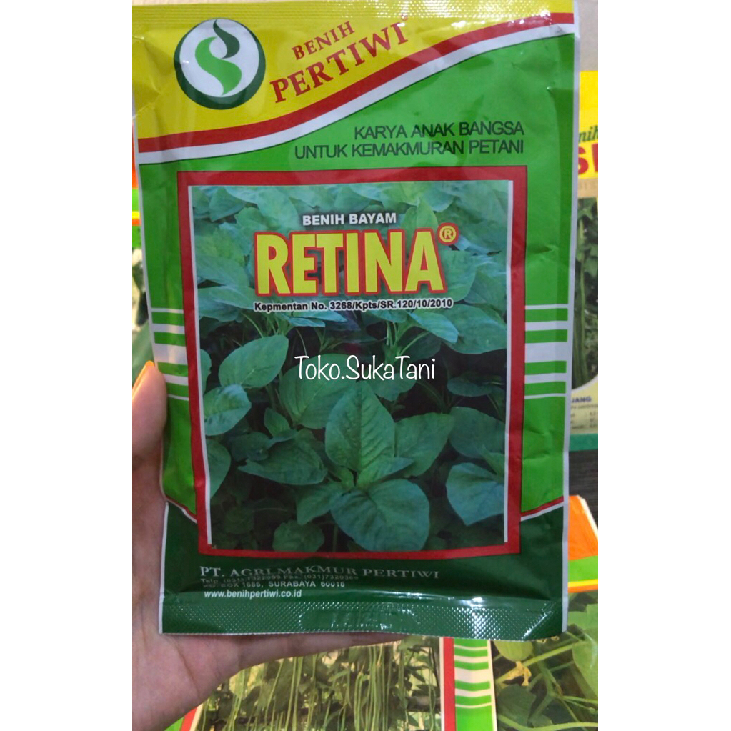 BENIH BAYAM RETINA PERTIWI KEMASAN 100 GRAM - BAYAM RETINA PERTIWI