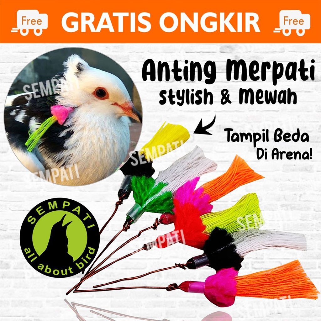 SEMPATI Anting Burung Merpati Pos Lomba Tomprang Kolong Giwang Hias Hiasan Telinga Burung Dara Antin