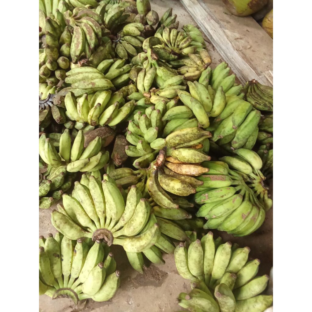 pisang awak pisang siam 4900gram