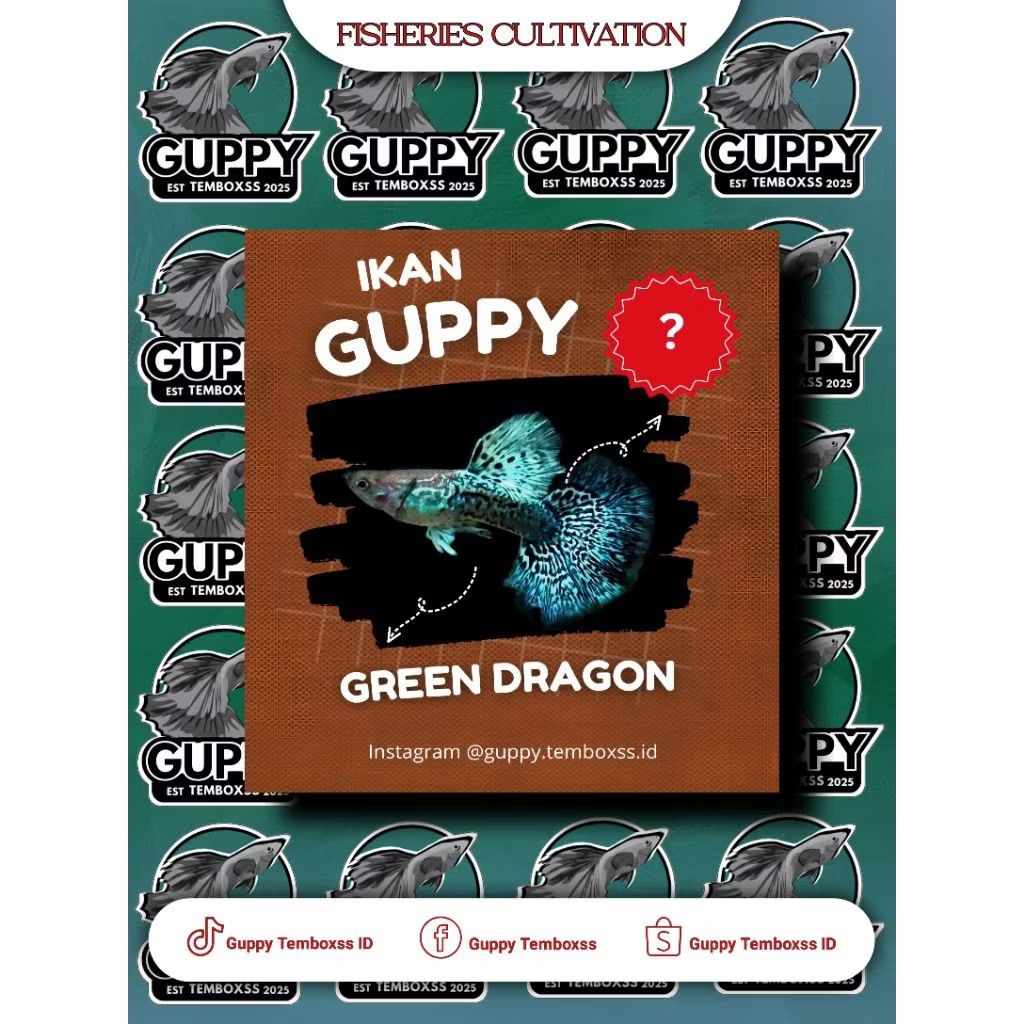 Hiasan Aquarium - Guppy Green Dragon