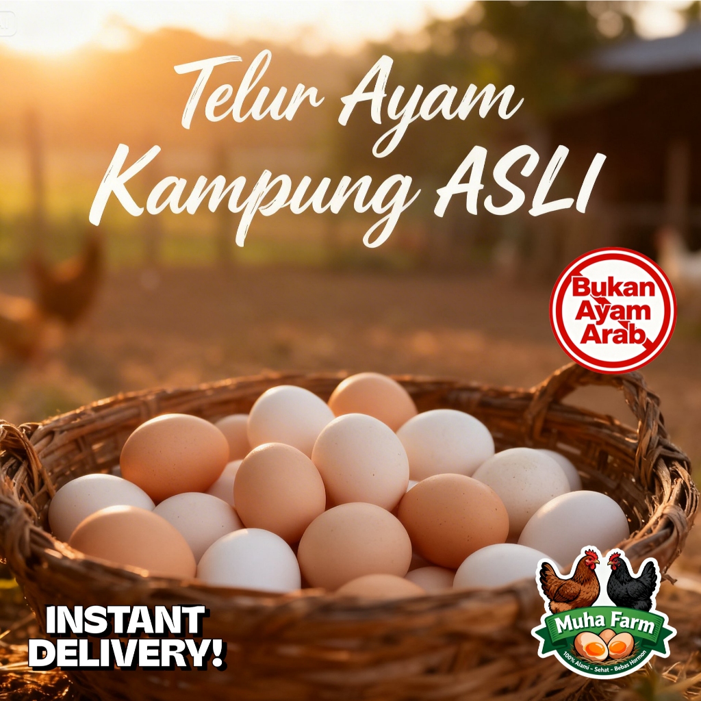ASLI Telur Ayam Kampung Omega 3 (isi 10) - (BUKAN AYAM ARAB) Free Range / MUHA FARM