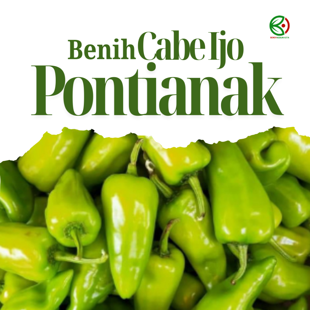 Biji Benih Bibit Tanaman Sayuran Cabe Hijau Besar Pontianak Kalimantan Unggul Berkualitas
