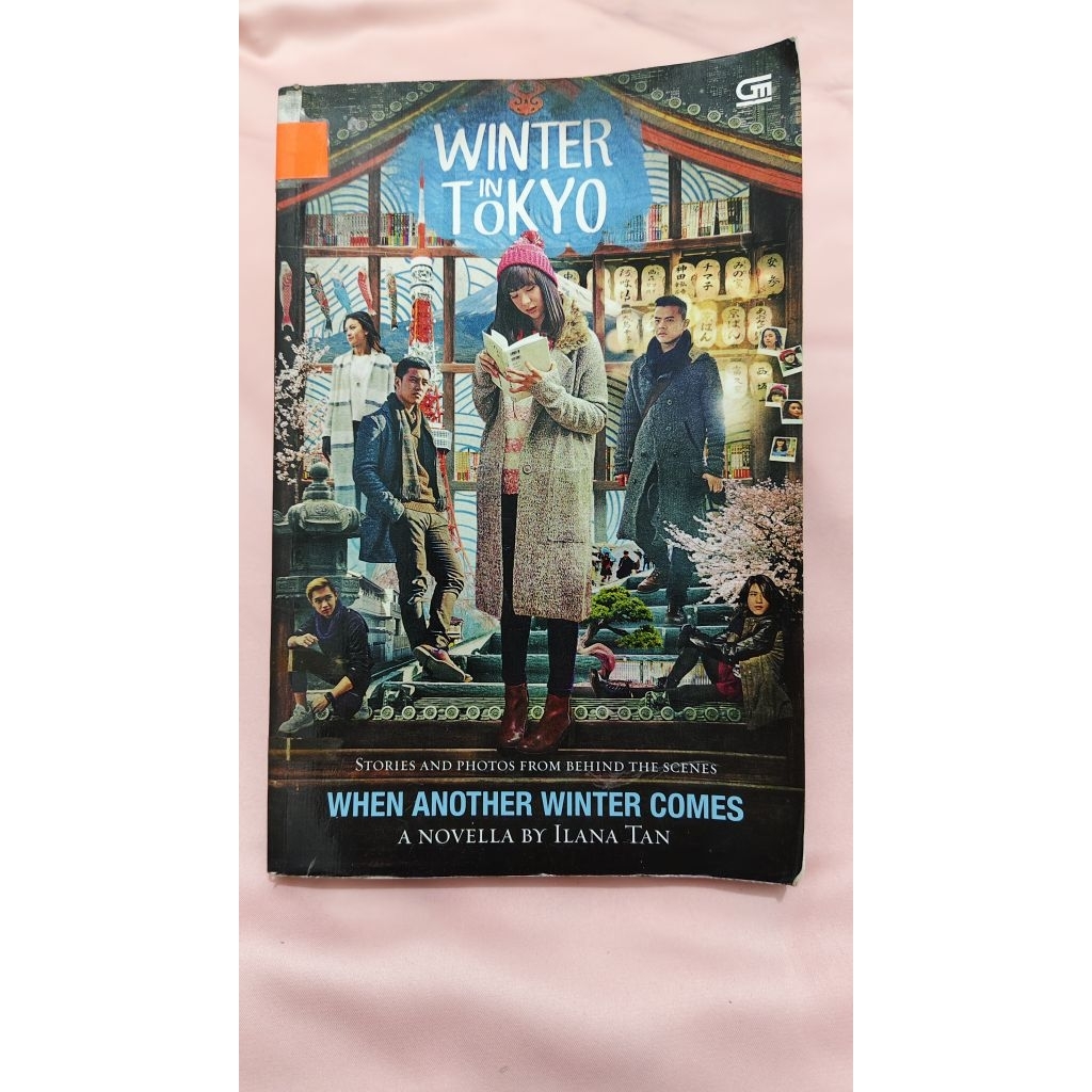 Winter in Tokyo