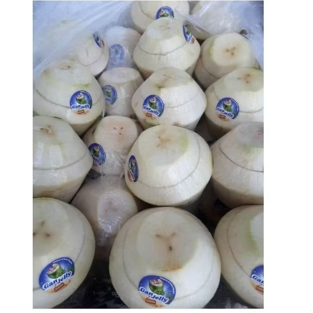 Degan jelly khas banyuwangi kemasan sedang fresh siap makan merk ganjelly