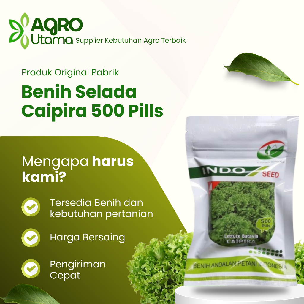 Benih Bibit Selada Caipira Pills 500 Pills Original Pabrik