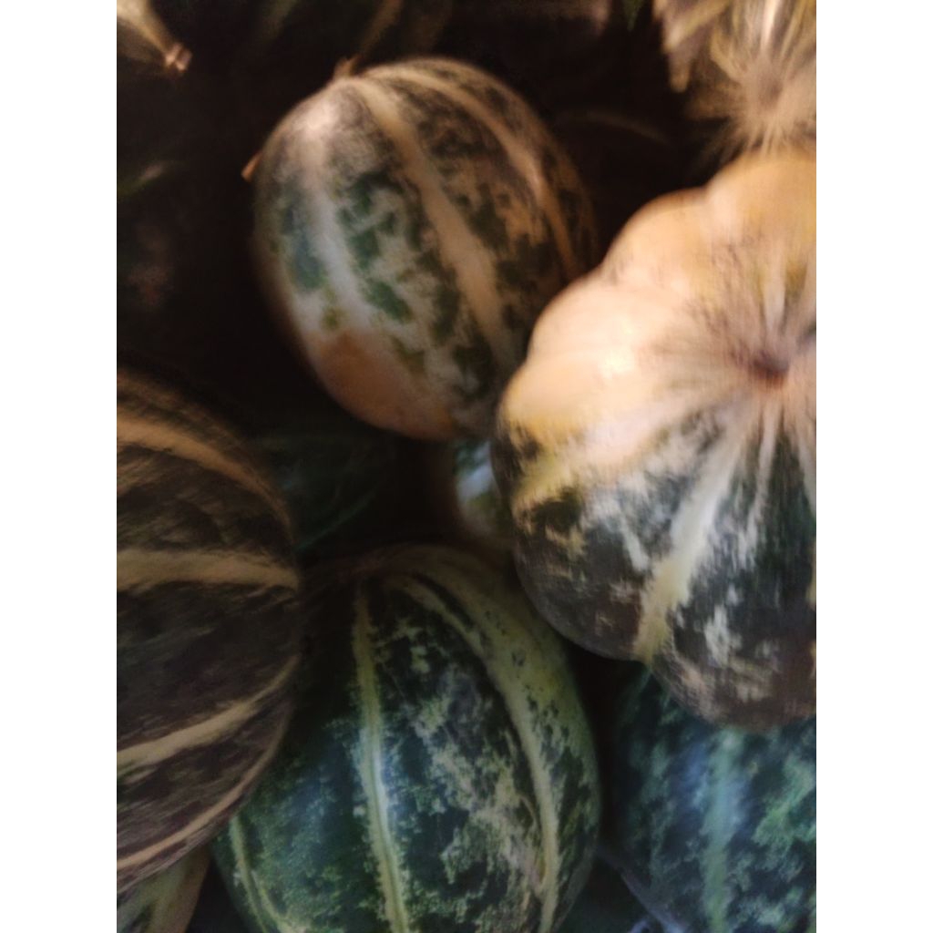 Buah Belewah Balewah Blewah manis segar
