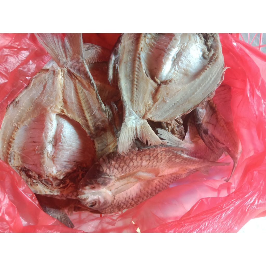 ikan wader kering