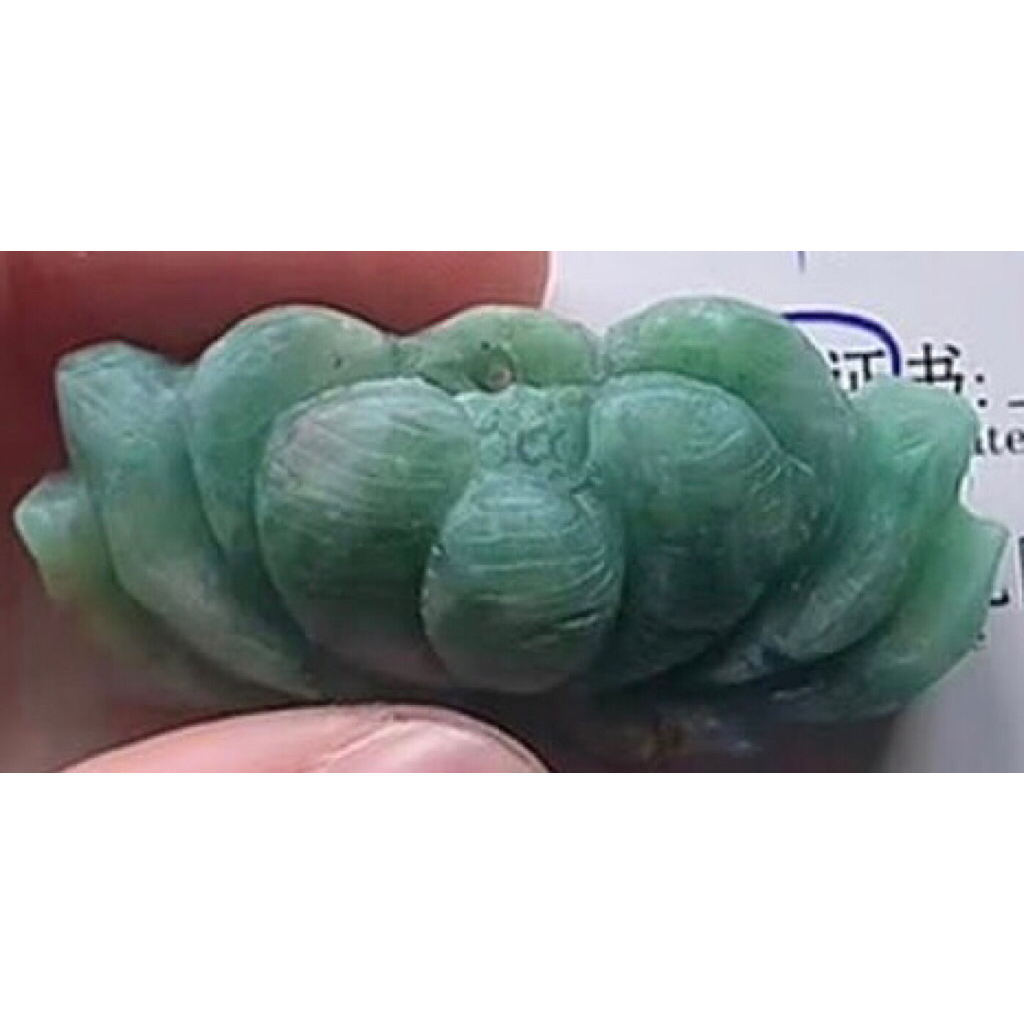 LiontinGiokBungaTerataiHijauSegar