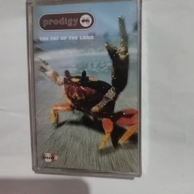 KASET PRODIGY THE FAT OF THE LAND