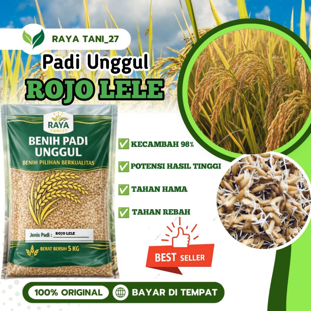 bibit padi benih padi unggul ROJO LELE kemasan 5kg