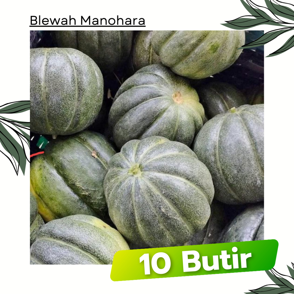 10 Butir - Blewah MANOHARA Bibit Buah Sayuran Tanaman
